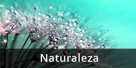 Haikus sobre la naturaleza