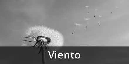 Versos dedicados al viento