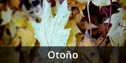 Poesía corta dedicada al otoño