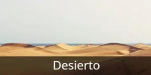 Paisaje de un desierto iluminado por un atardecer, capturando la belleza y misterio que inspiran el poema al desierto